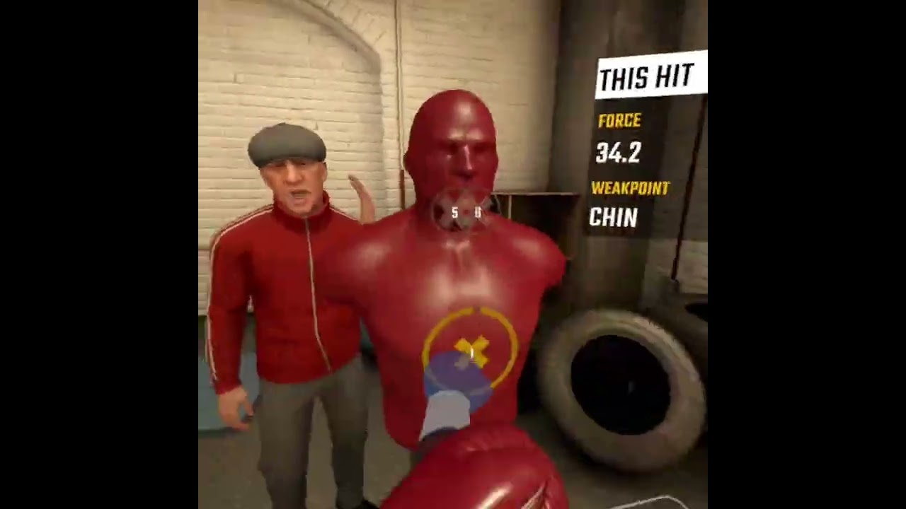 My boxing career 