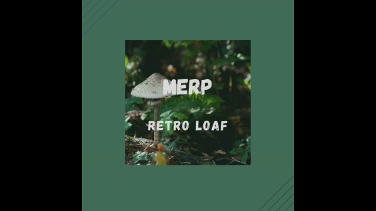 [1Hour] Merp |  ♬ MUSIC LOFI