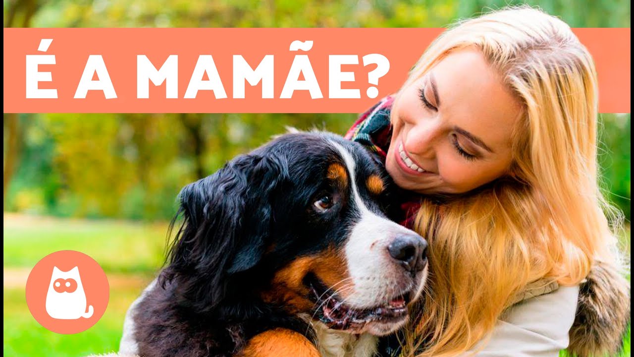 Como saber se meu CACHORRO me CONSIDERA sua MÃE? 🐶👩🏻