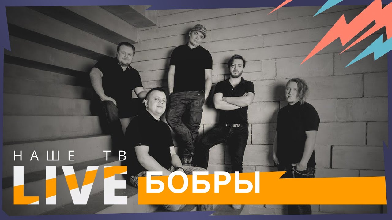 Бобры // НАШЕТВLIVE