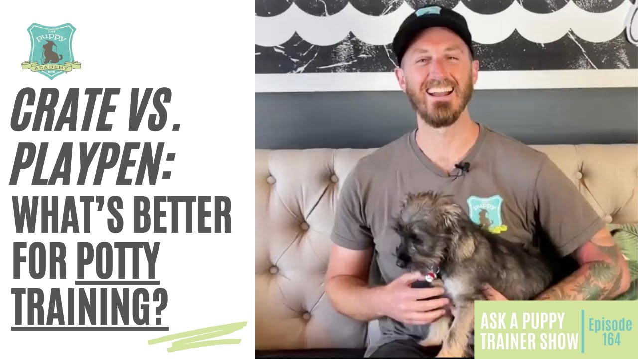 Crate vs. Playpen: What’s Better for Potty Training? | AAPTS Ep. 164