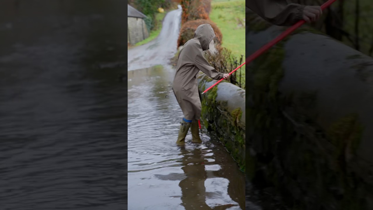 Unblocking a drain, got to be one of life&rsquo;s most satisfying jobs. #drainage #unblocking #flood #wet