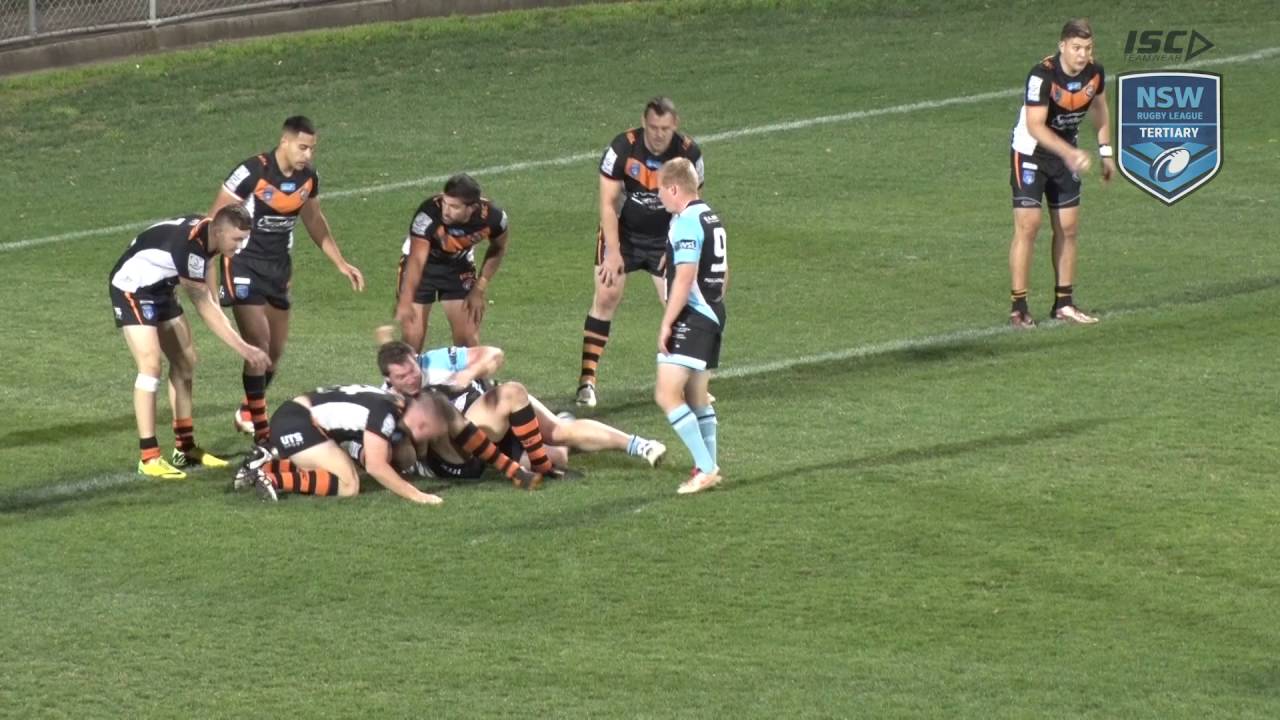2016 1st Grade Grand Final Polecats v Tigers