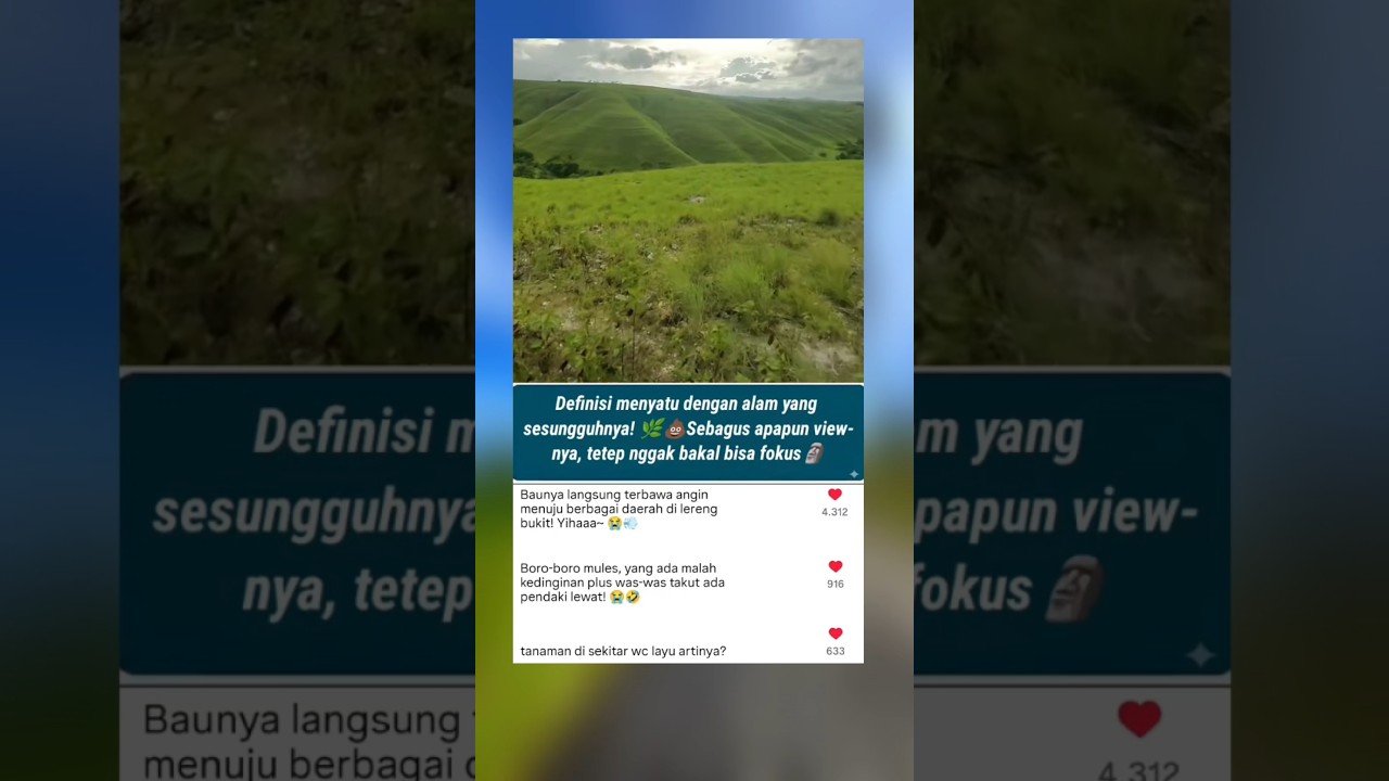 WC VIP View Teletubbies 😭⛰️