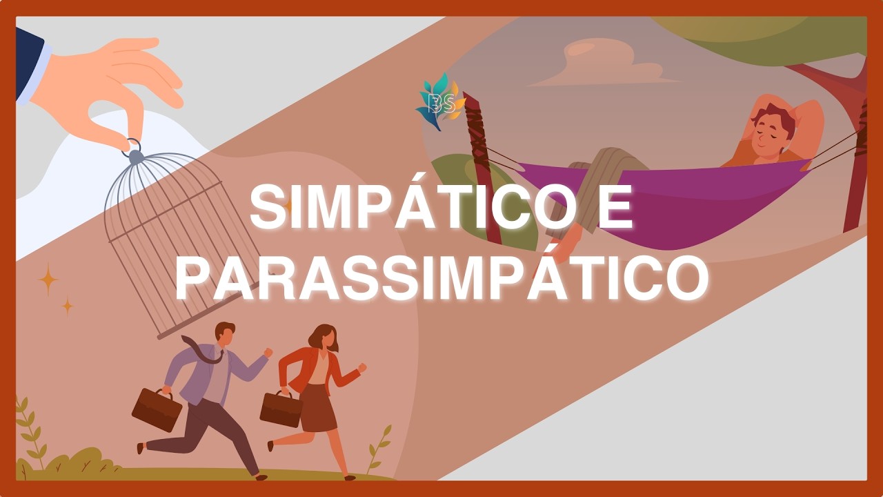 SIMPÁTICO e PARASSIMPÁTICO (SNA): Ações nos órgãos do corpo | Fisiologia