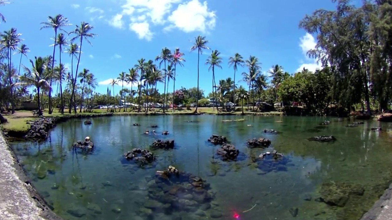 RICOH THETA V - 4K & 360&deg; Spatial Audio Sample (Richardson Ocean Park)