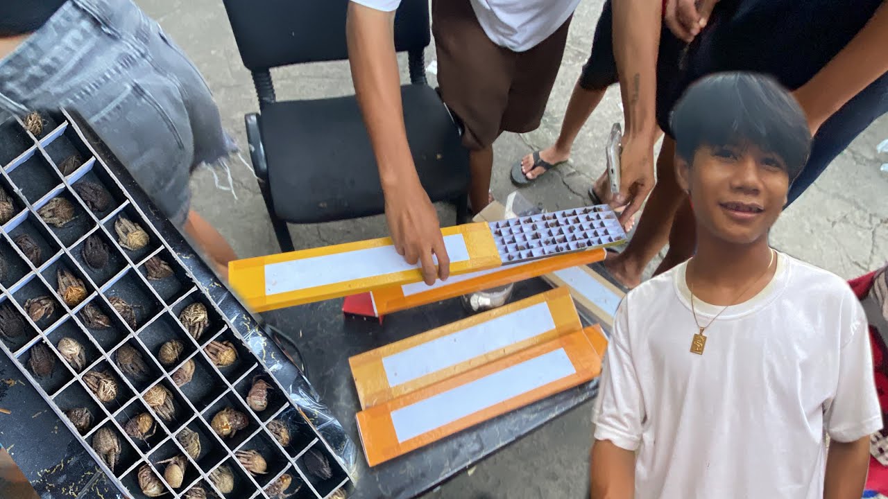 ANG DAMING BINIBENTA NA GAGAMBA DITO