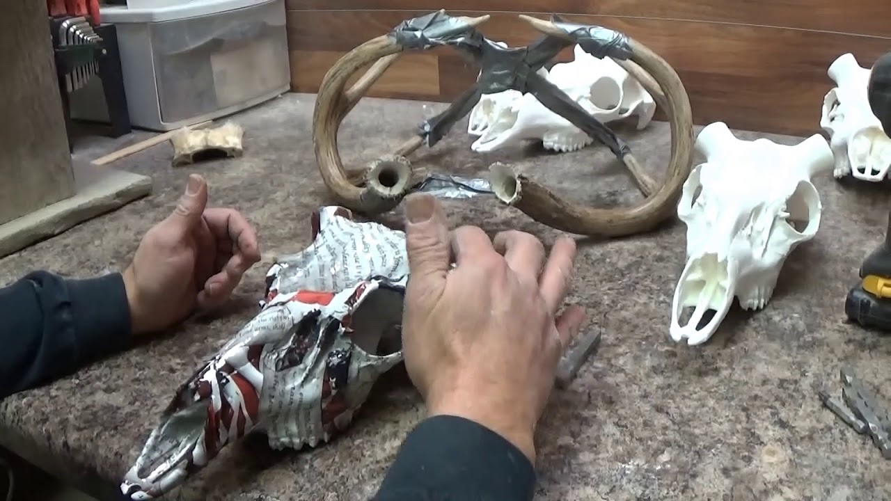 Outlaw Skulls Whitetail Antler Mounting Instructions