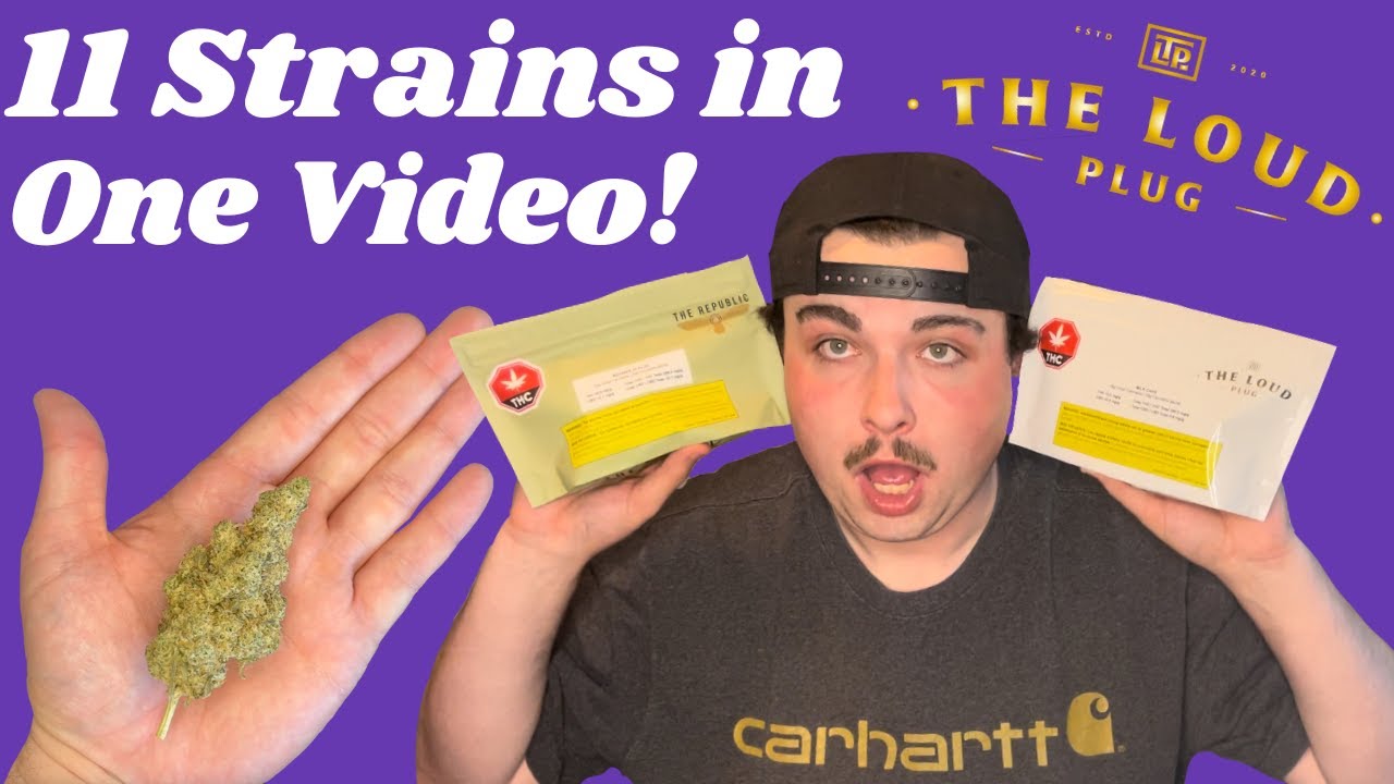Exploring The Loud Plug's Product Lineup 🍃 | In-Depth Review & Flower Close-Ups 🔎