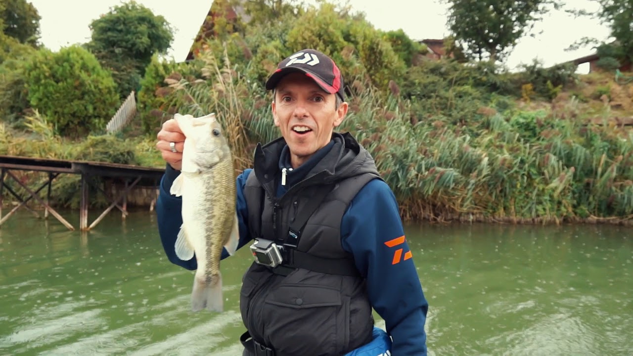 Feketesügerezés  - Stratégia