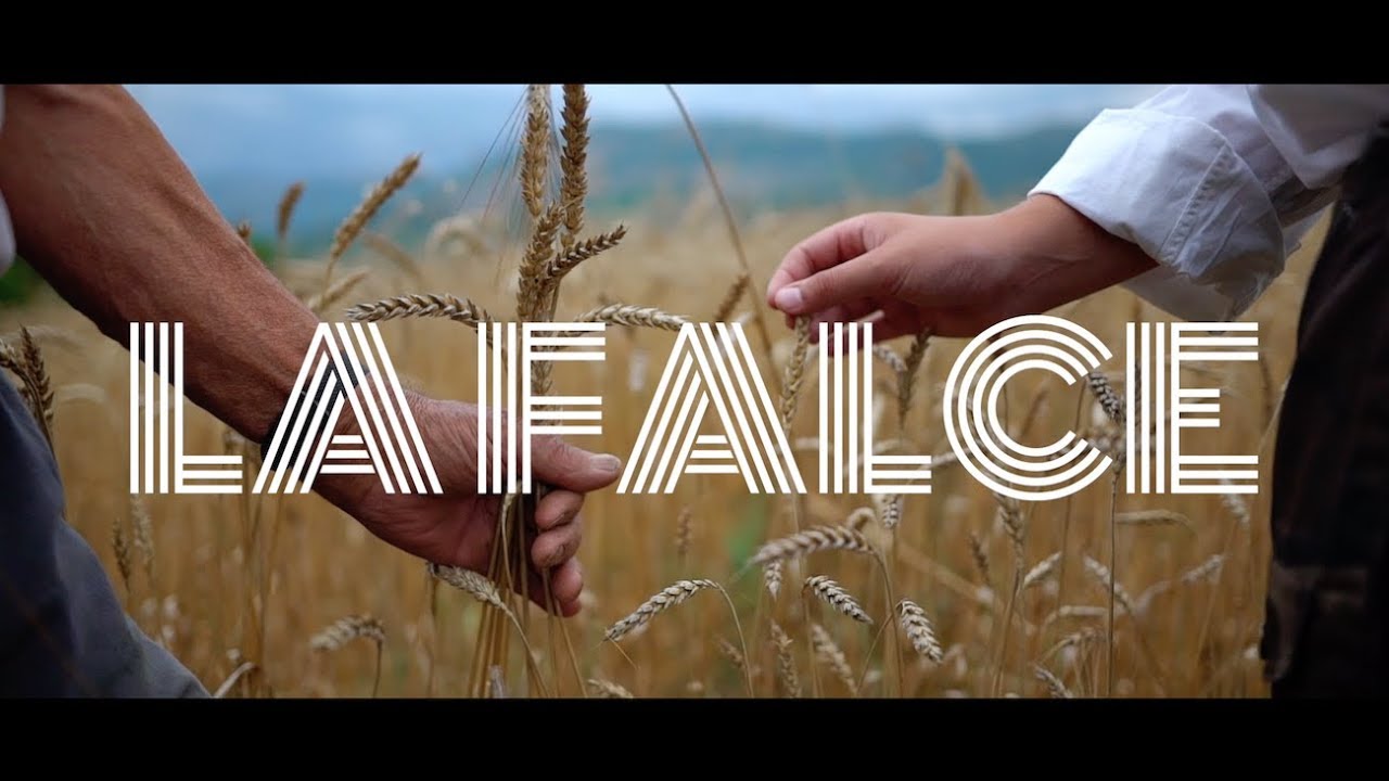 LA FALCE
