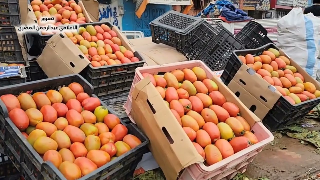 اسعار الخضار و الفواكه و الدجاج في مدينة مارب اليمن
