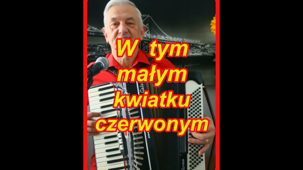 W tym małym kwiatku czerwonym ♥️ BodzioGas ♥️ akordeon 🪗