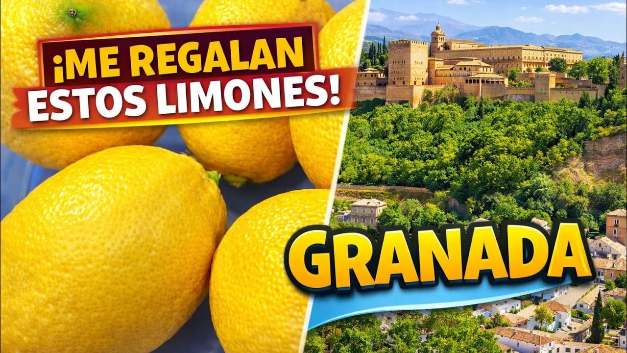 Limones recién cogidos y recuerdos de Granada.