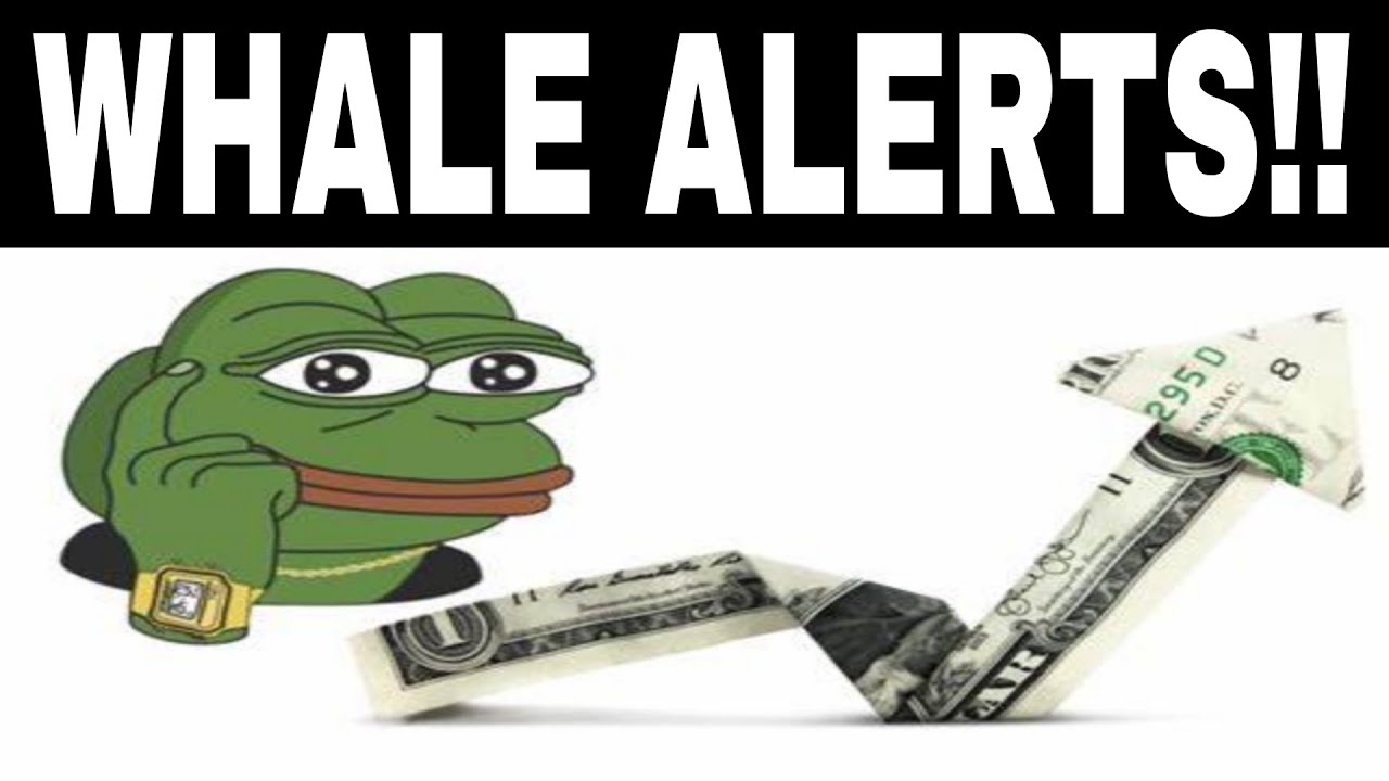 CRYPTO WHALE ALERTS!! Whales win all the time!!!