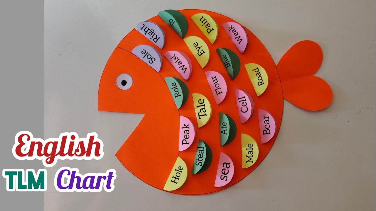 English Grammar Chart/ Homophones English Chart/ English School Activity/ English TLM Easy 