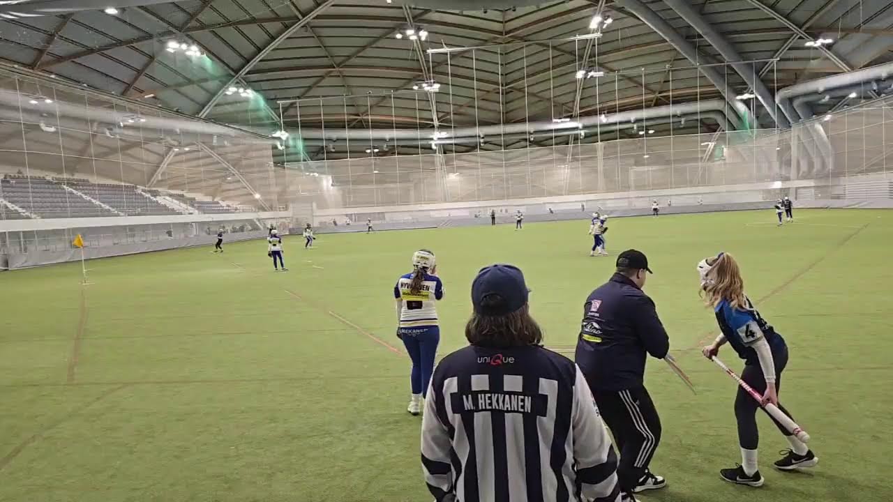 Live streaming of Vilu Niemelä