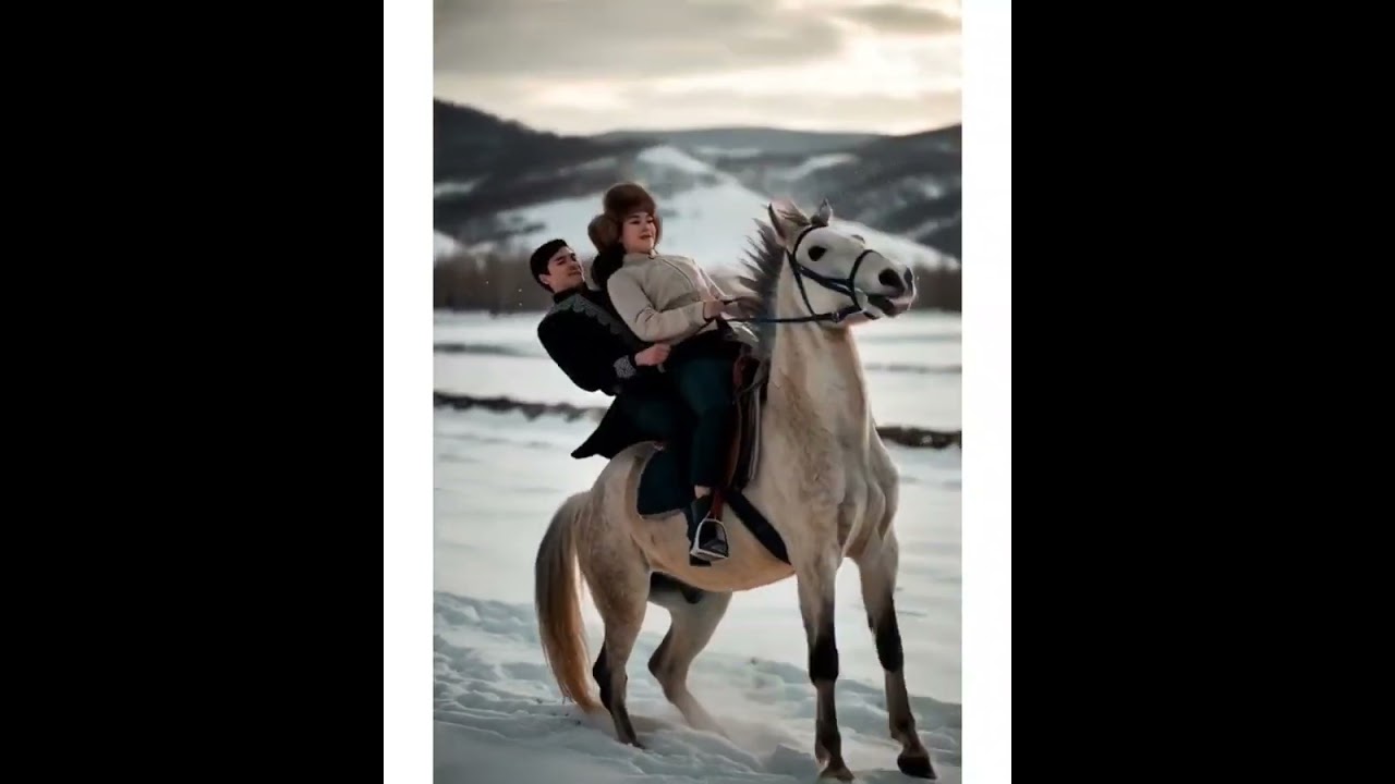 Жоқ, тоқтамады өлеңім #kazakhsongs #kazakhplaylist #newmusickazakh #kazakhtoy #новинка2026 #2026 