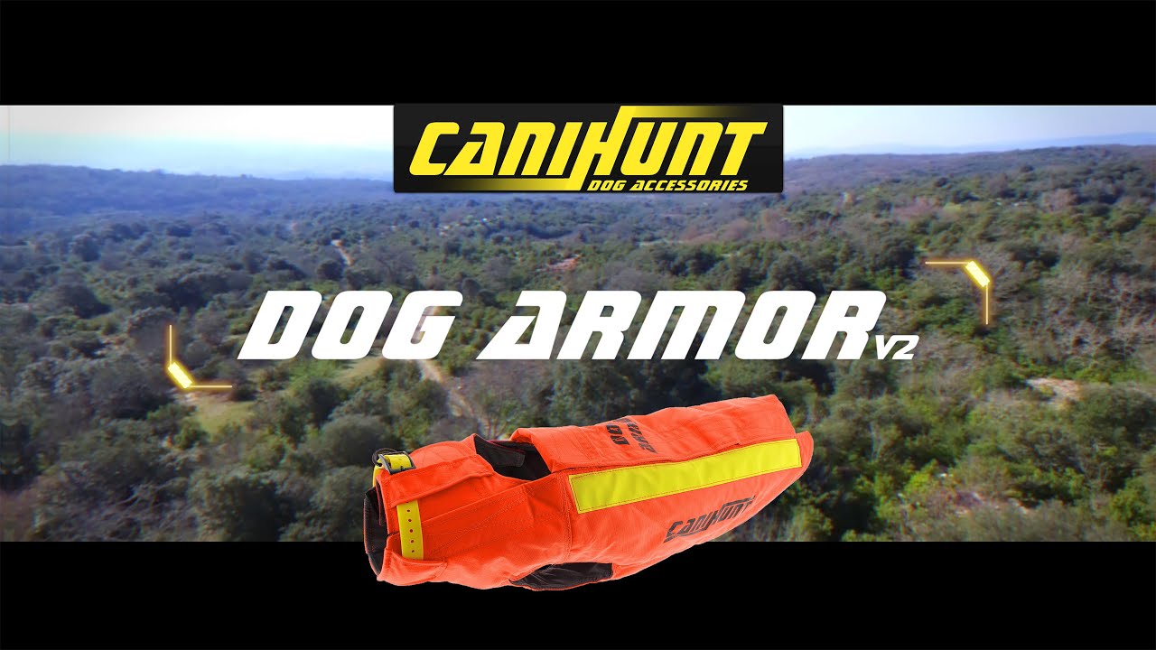 Gilet de protection DOG ARMOR V2 CANIHUNT
