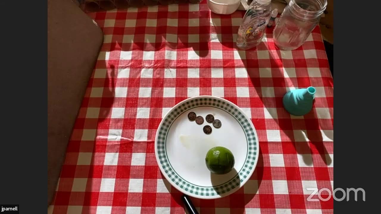 STEAM Lab: Green Science