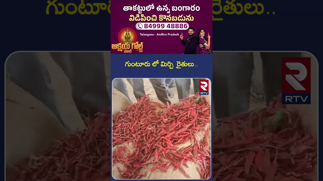 గుంటూరు లో మిర్చి రైతులు.. | Guntur Mirchi Raithulu | Guntur District | RTV