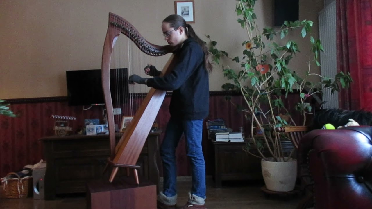 Vita Brevis