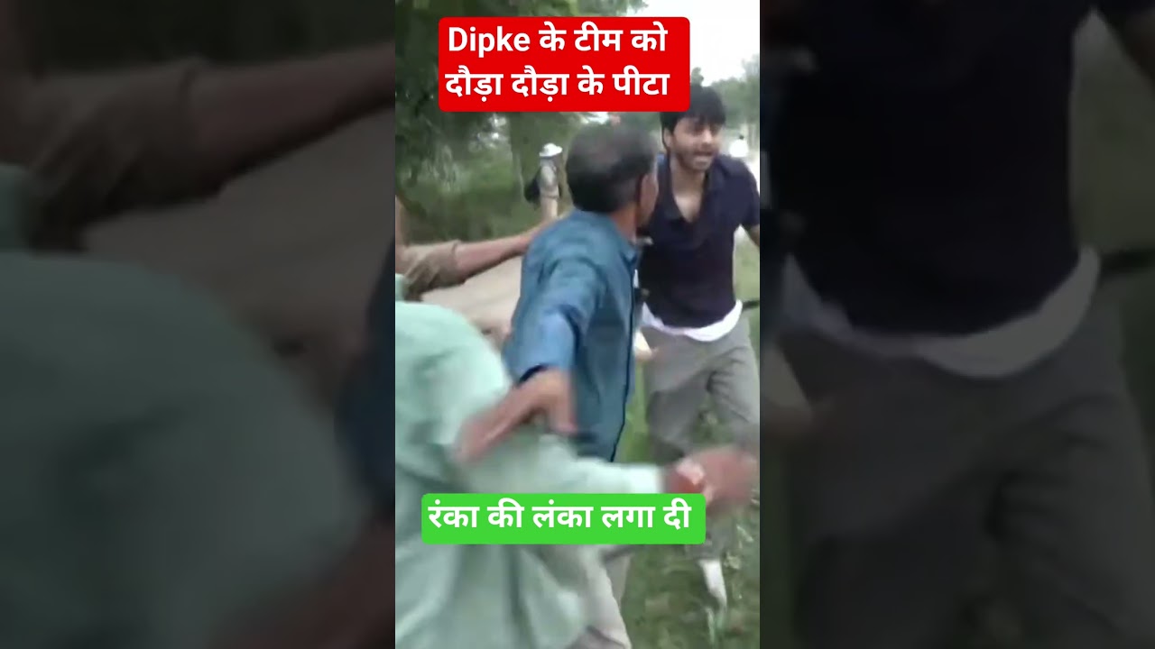 Cockroaches getting beaten up #news #cjp #government #news