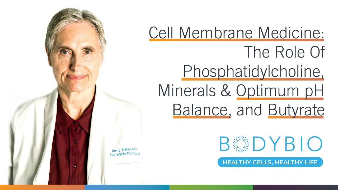 Cell Membrane Medicine: The Role Of Phosphatidylcholine, Minerals & Optimum pH Balance, and Butyrate