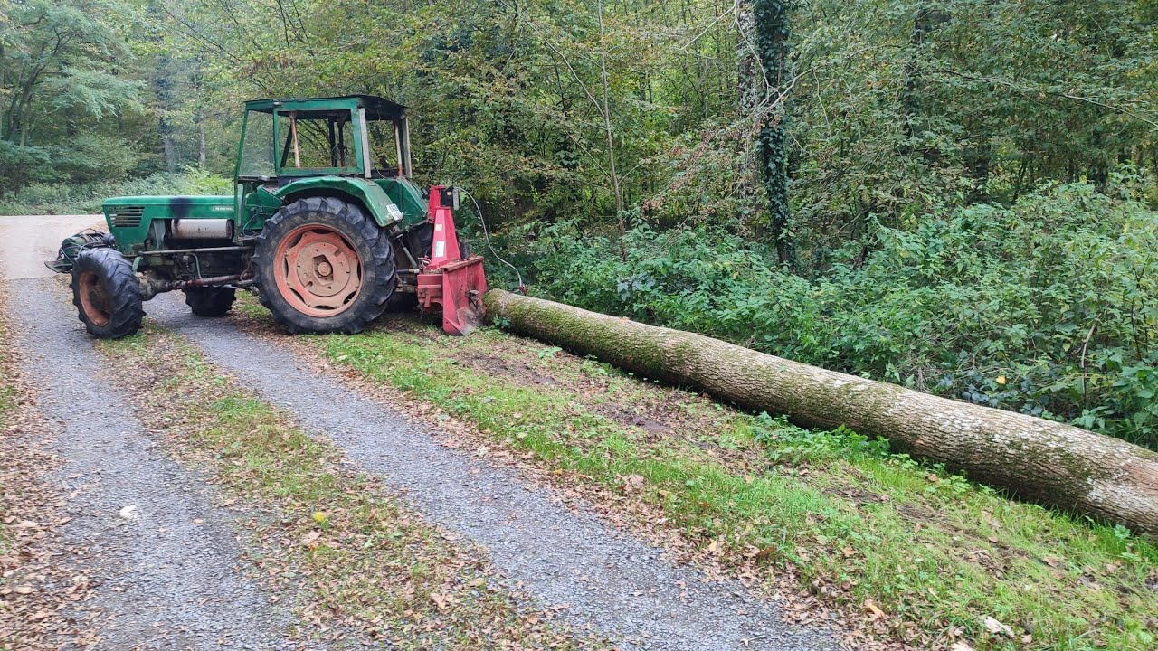 Abattage est débardage de frêne DOLMAR 7910#forestmen #youtubeshorts #bucheron
