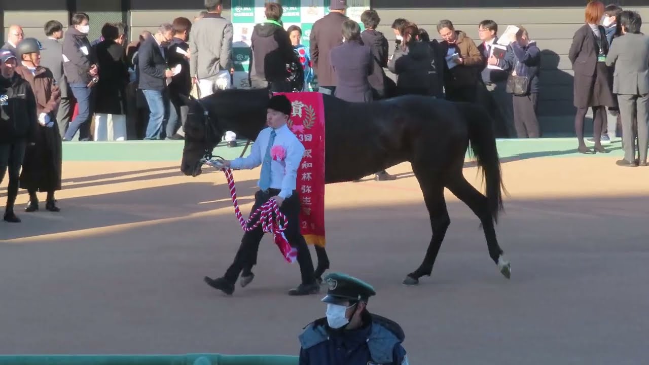2026年3月8日 中山11R 報知杯弥生賞DI記念G2 優勝レイをかけられるバステール
