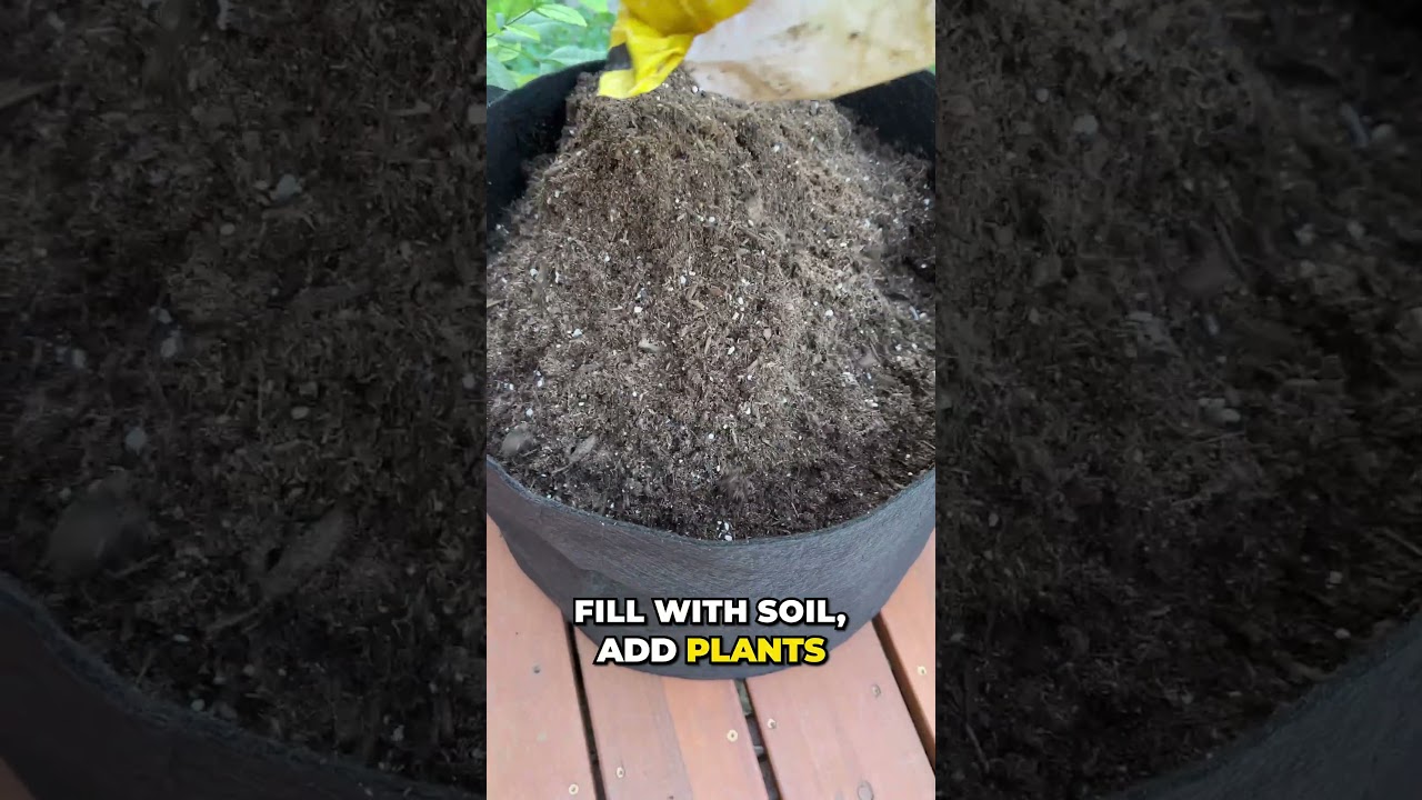 Grow Your Own Vegetables with Smart Pots from Costco!