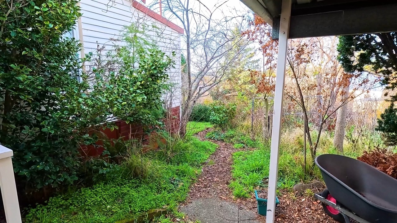 The Most SATISFYING Yard Cleanup You Have Seen This YEAR! (Part 6)