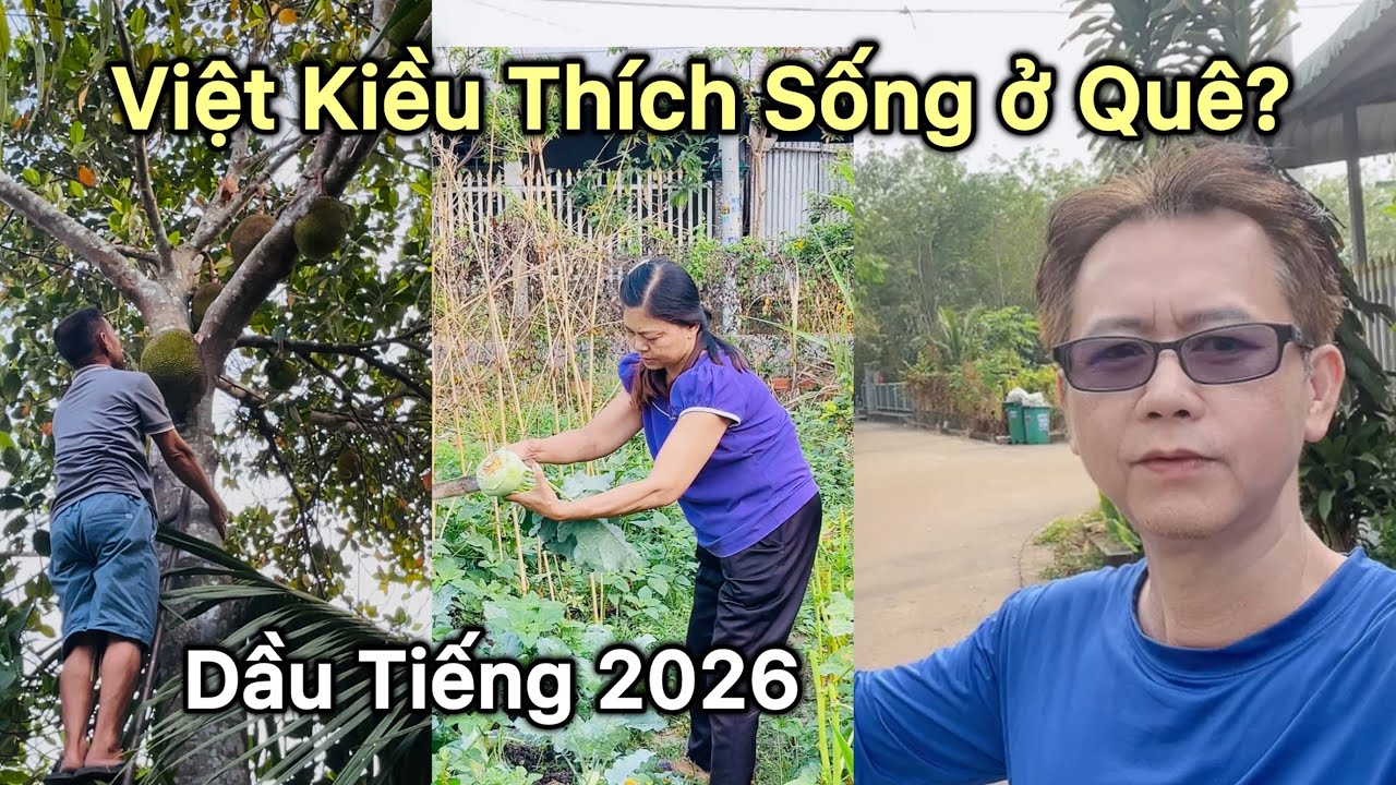 Vì Sao Một Số Việt Kiều Chọn Sống Ở Quê Việt Nam?