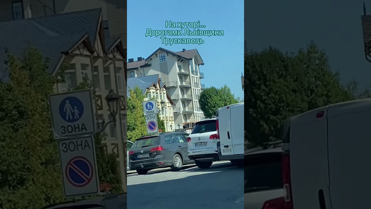 Там за тином на баяні у вікно співав Василь🪗#дякуюзсу #люблюукраїну #подорожіукраїною Львівщина