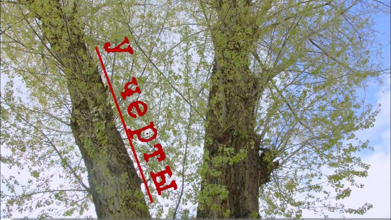 10 марта 2025 г.