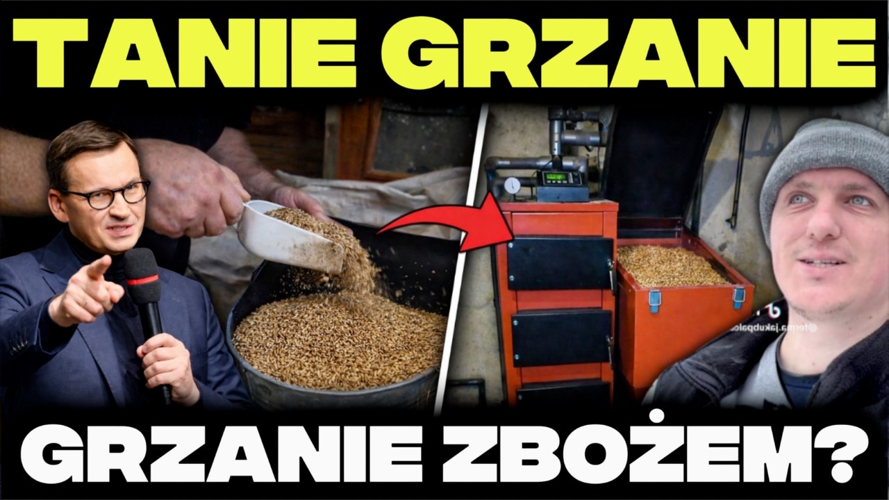 KATASTROFA GRZEWCZA! Czy OPŁACA się GRZAĆ ZBOŻEM zamiast PELLETU?