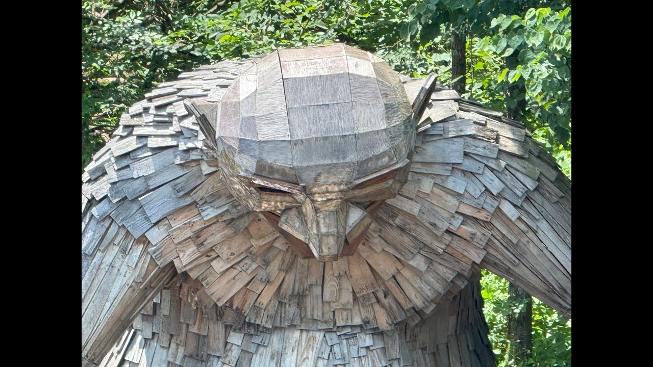 Bernheim Forest June '25