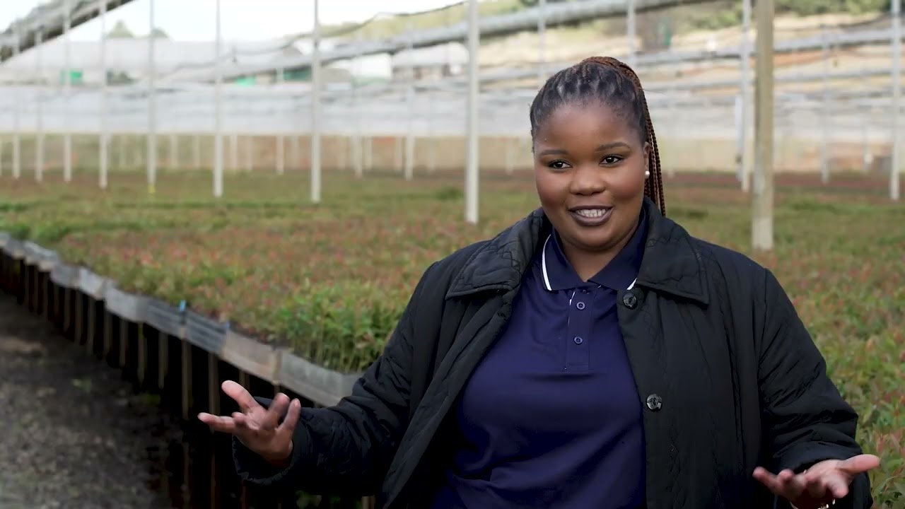 Being a Nursery Manager
