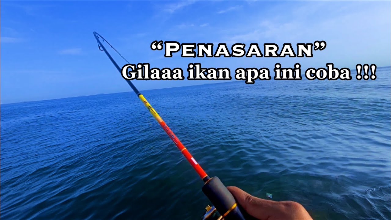 PENASARAN PARAH… TARIKANNYA KERAS BANGET! !! || MANCING MUARA BARU DAM IJO