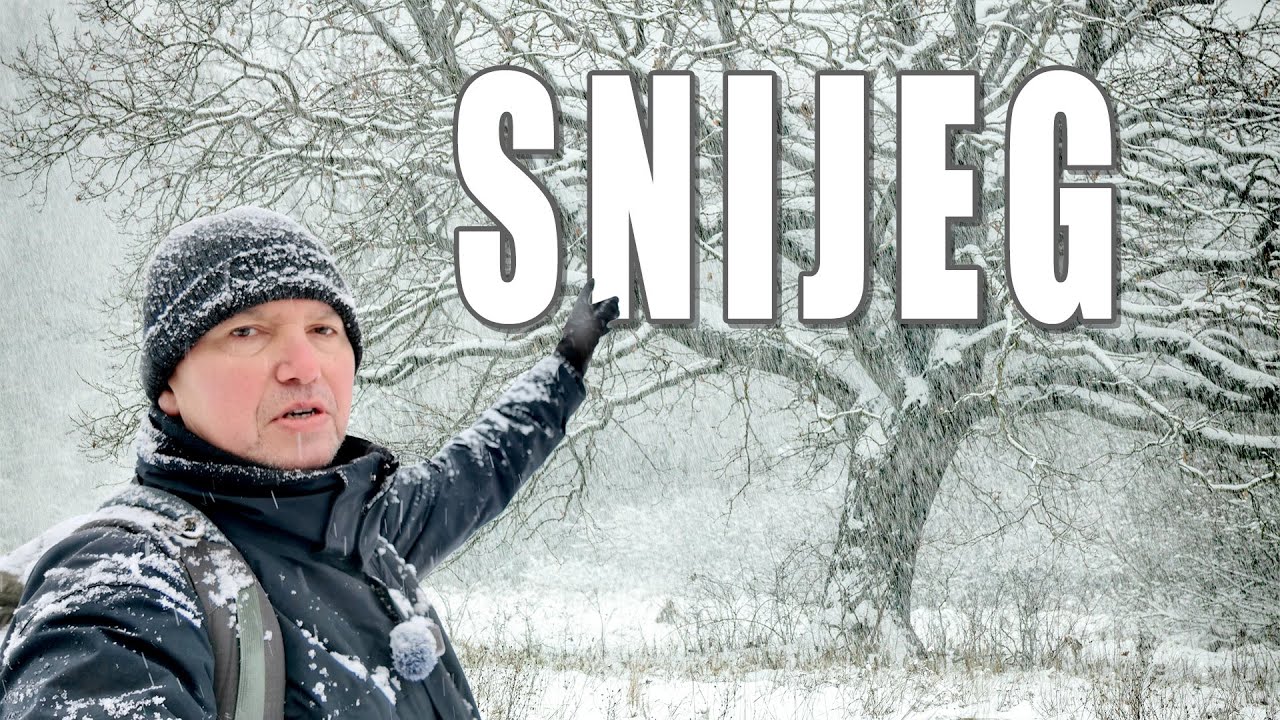 Snijeg