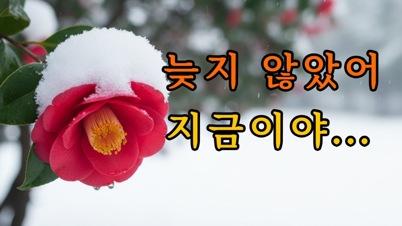 제목 : 동백꽃 사랑 | 한서준-노래풍경 | 늦게 와도 괜찮아, 지금이면 충분해