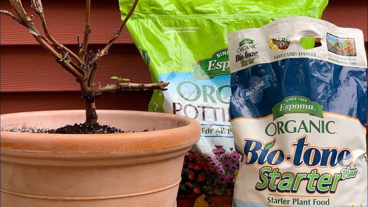 TLC Plants // Espoma Organics
