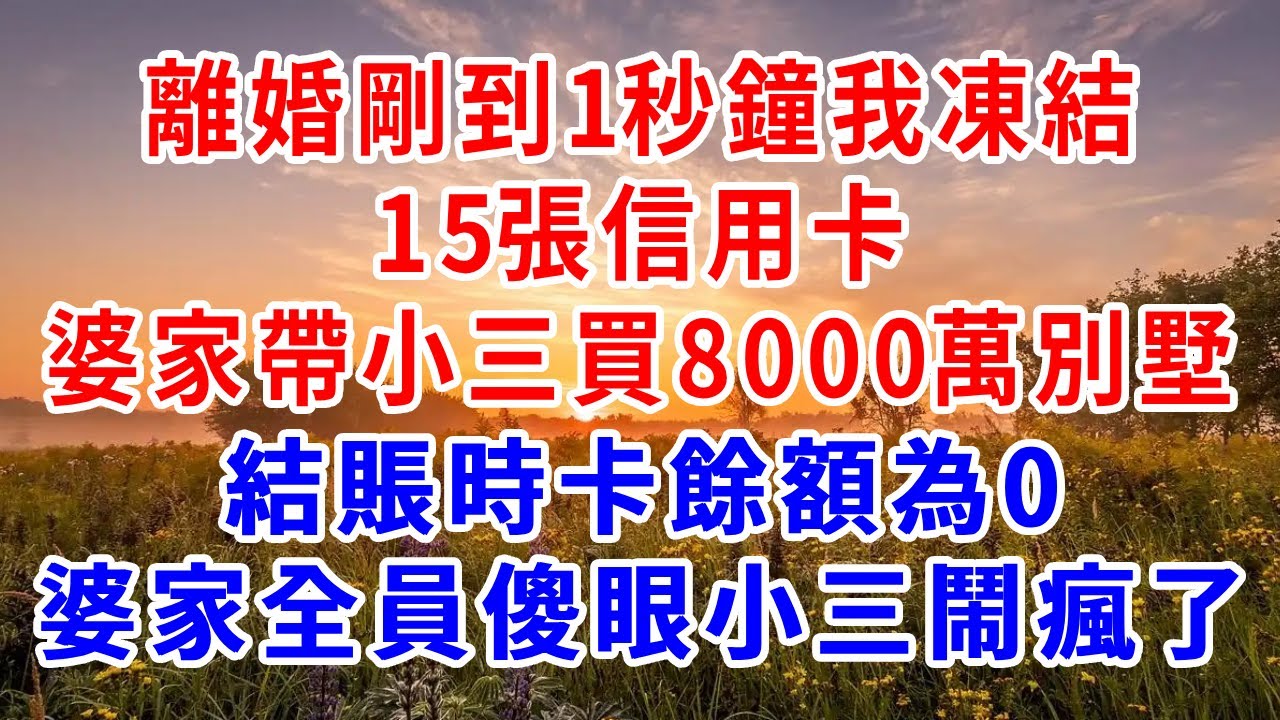 離婚剛到1秒鐘，我凍結15張信用卡，婆家帶小三買8000萬別墅，結賬時卡餘額為0，婆家全員傻眼小三鬧瘋了！