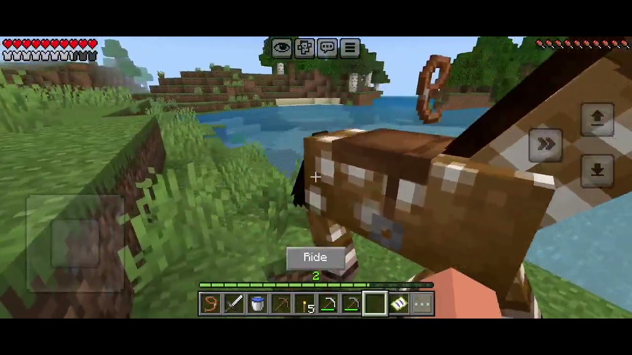 I found a treasure in Minecraft.