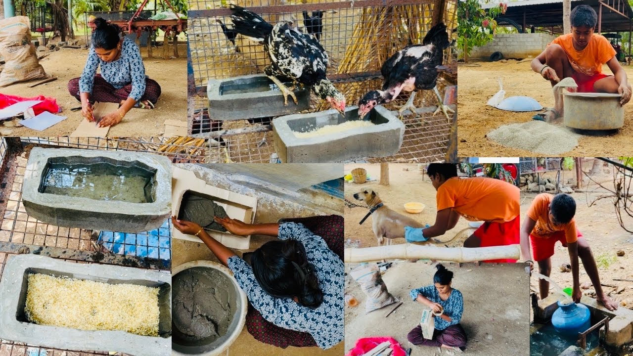 இப்பாடியும் கோழிப்பண்ணையில் செலவை குறைக்கலாமா ₹400தேவையில்லைவெறும்30ரூபாயில்கோழிஉணவு தொட்டிசெய்யலாம்