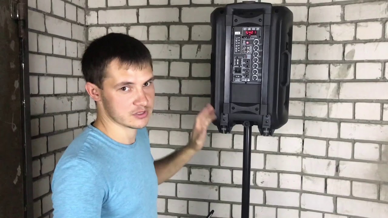 Обзор портативных акустических систем с микрофонами