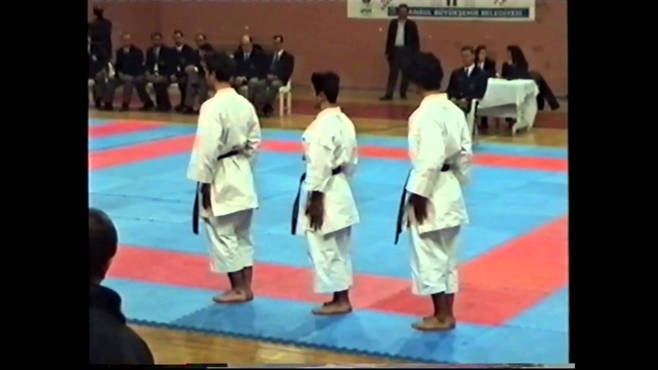 valkanikoi KARATE DO final