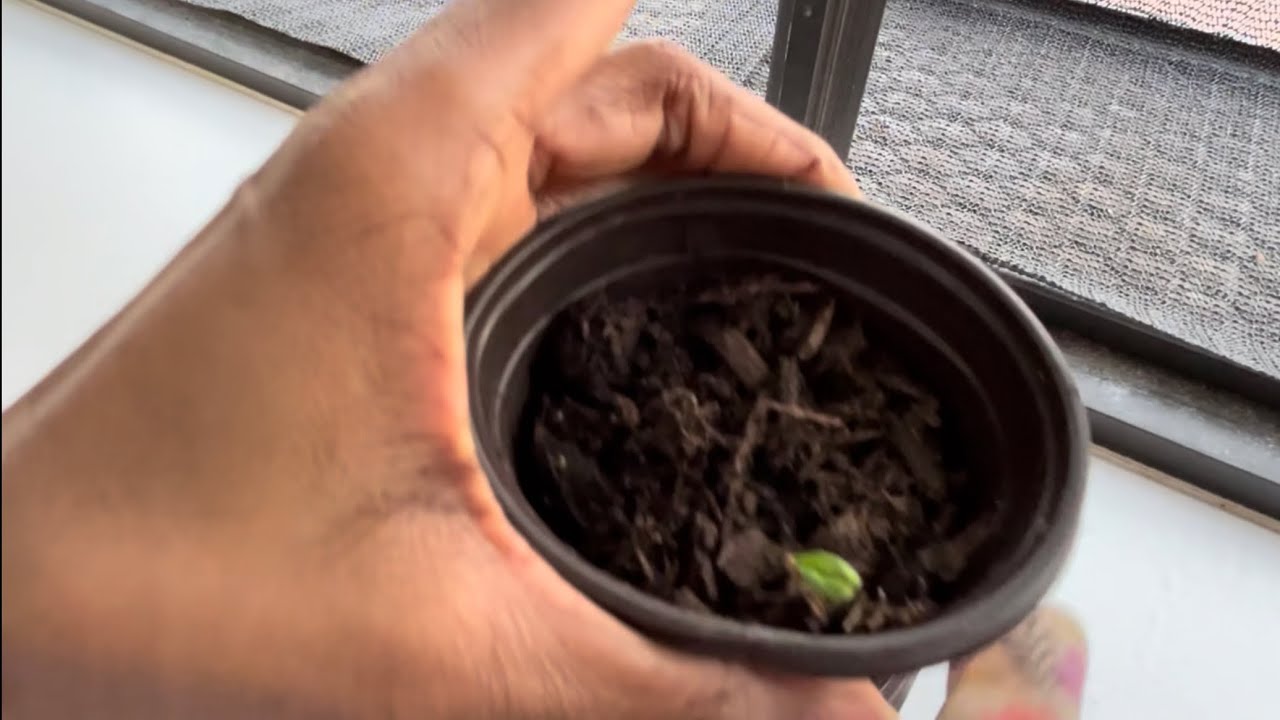 We Got Growth!!!🙌🏾😃