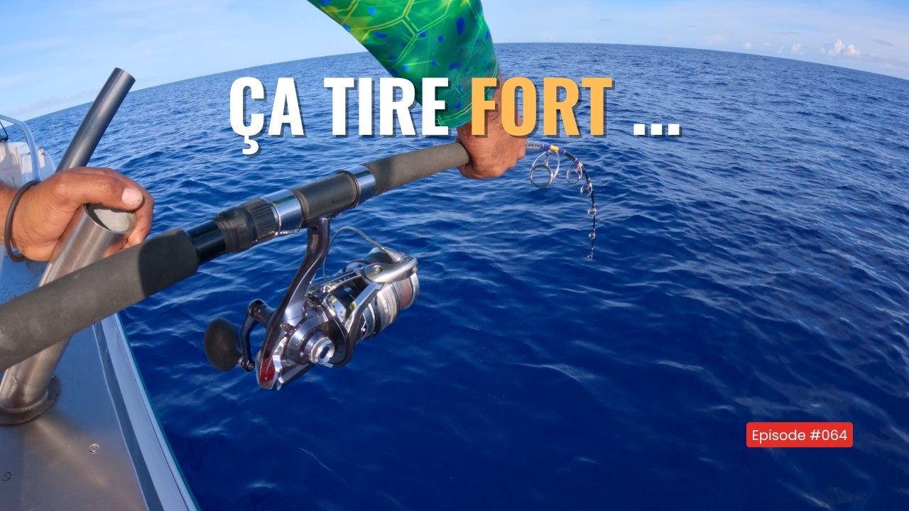 Ce qui se passe en 4H de pêche sur le Sec de Saint Paul !