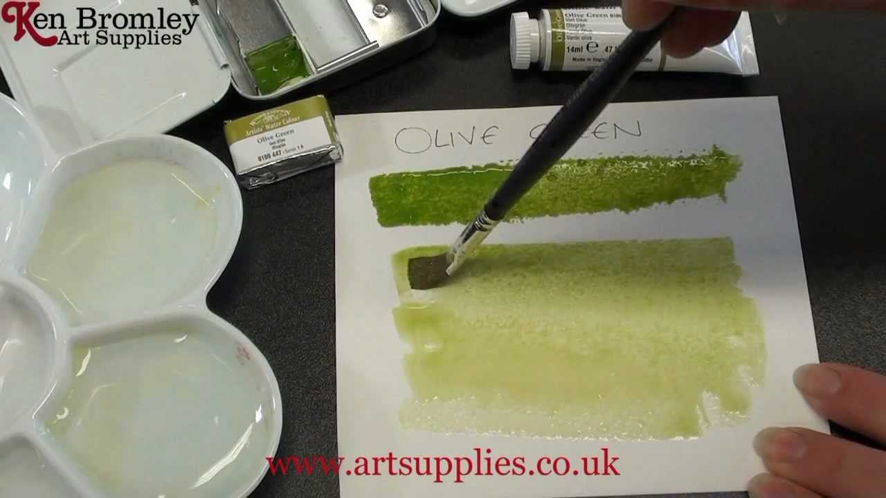 Winsor & Newton Artists' Water Colour paint Olive Green 447 Series 1